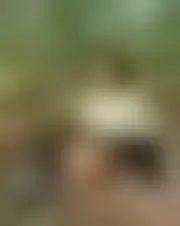 Foto av lavilaa