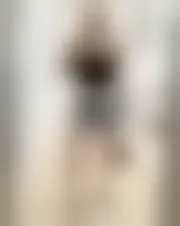 Foto de munadiah364777155