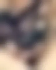 Foto de juliemel