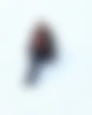 Foto av muyaiah31233zce