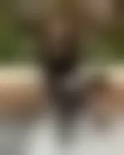 Foto de nalphes77312