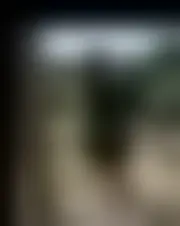 Foto av sarah24273