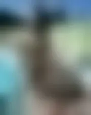 Foto av clemencemardaud