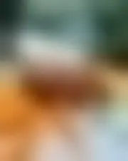 Foto av anlphegias95439