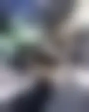 Foto de lara2000