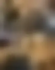 Foto av estellabenis