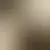 Profil av ant09