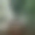 Discutir con apogan87609