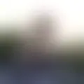 Discutir con contastinopla