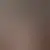 Profil av libellule12