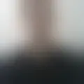 Discutir con marcos_sc
