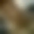 Discutir con marieluiseange