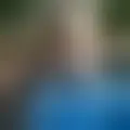 Discutir con paheuaiah73402