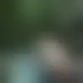 Diskuter med paheuaiah93724
