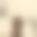 Diskuter med reheaiah41264