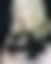 Foto de lisa11049
