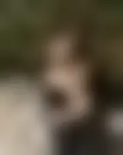 Foto av sandri234