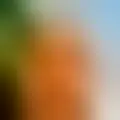 Discutir con abadres70374