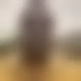 Discuter avec black29122025