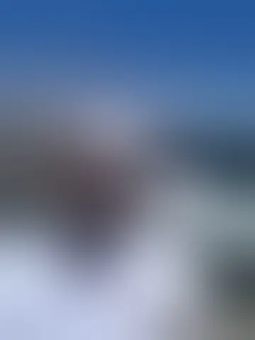 Chatter avec cerqueira et des hommes célibataires vers Albi