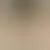 Profil de coccinelle_62
