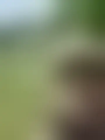 Chat with gatsby27 and singles men in warwick