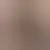 Perfil de prettynorica