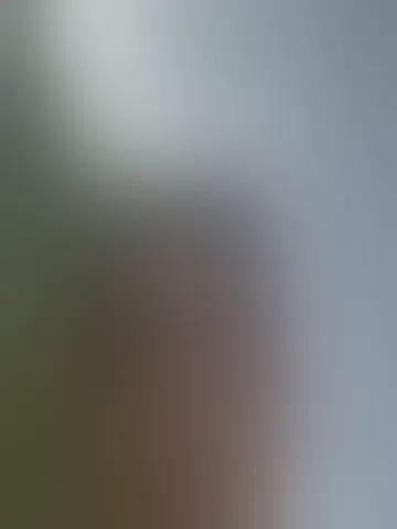 Chatea con yedel74757 y solteros hombres en universidad